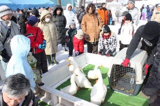 2011.2.14 034.jpg